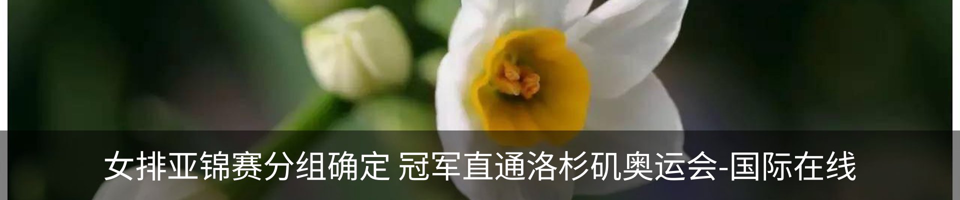 新闻中心